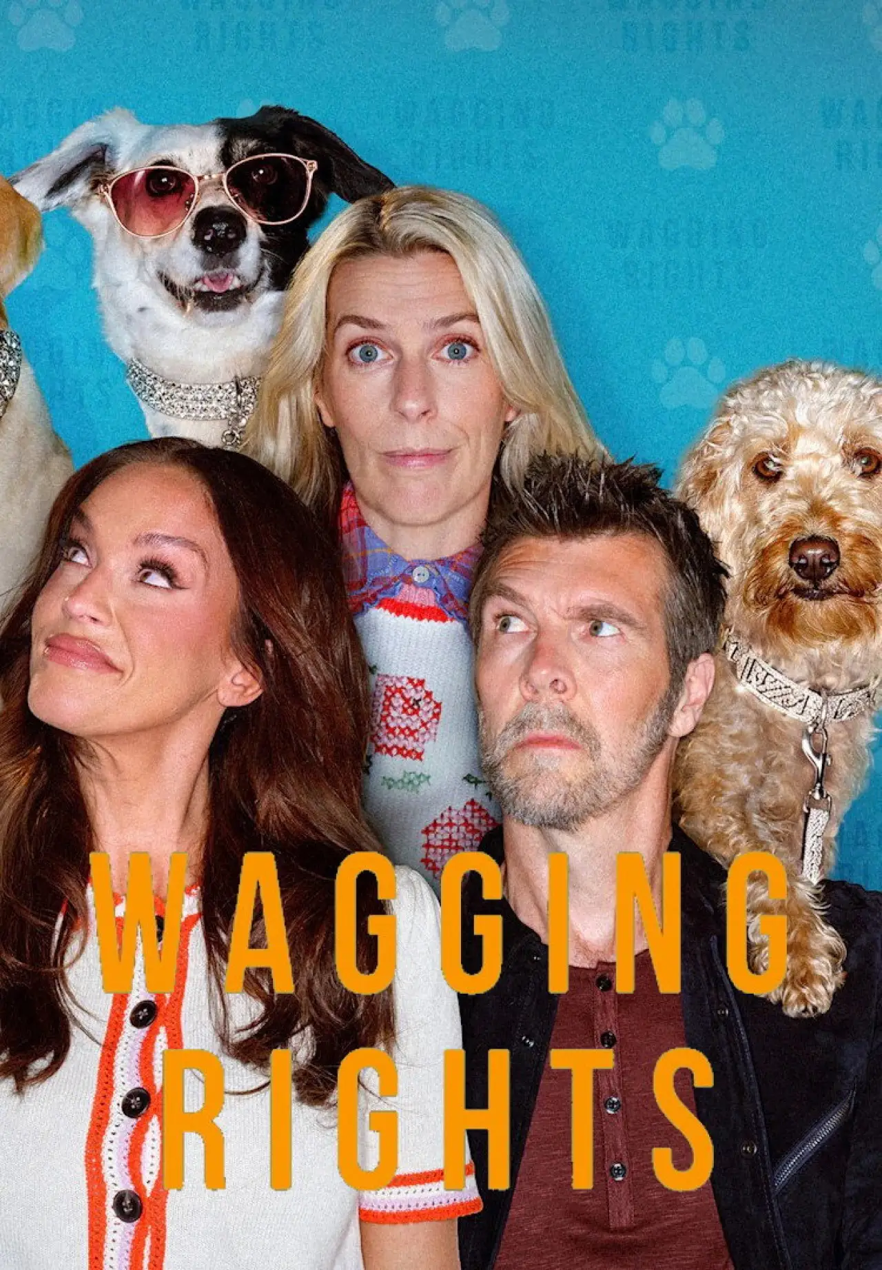 Постер до серіалу "Wagging Rights"