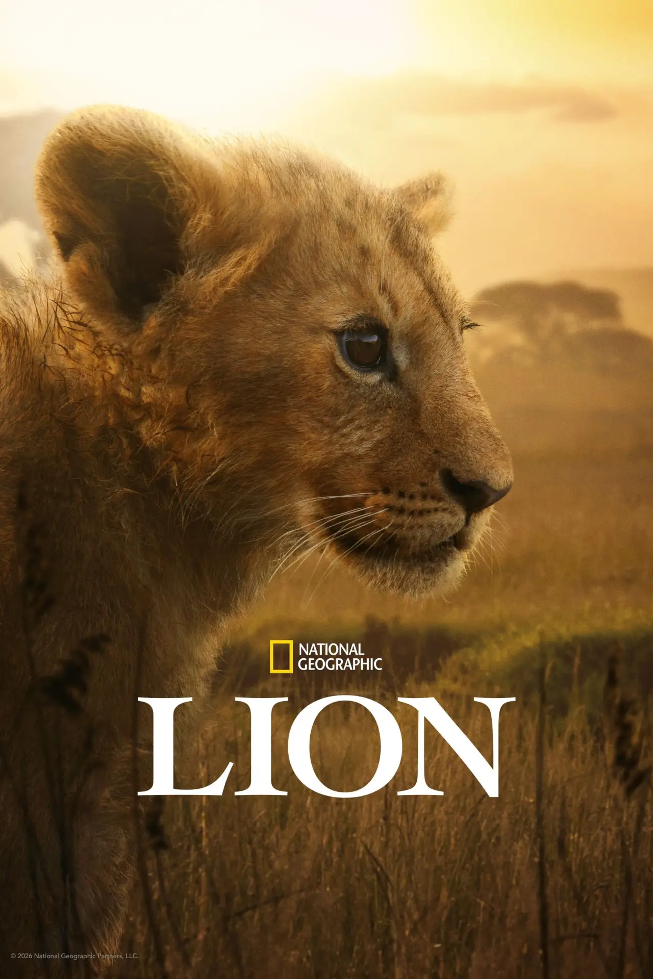 Постер до серіалу "Lion"