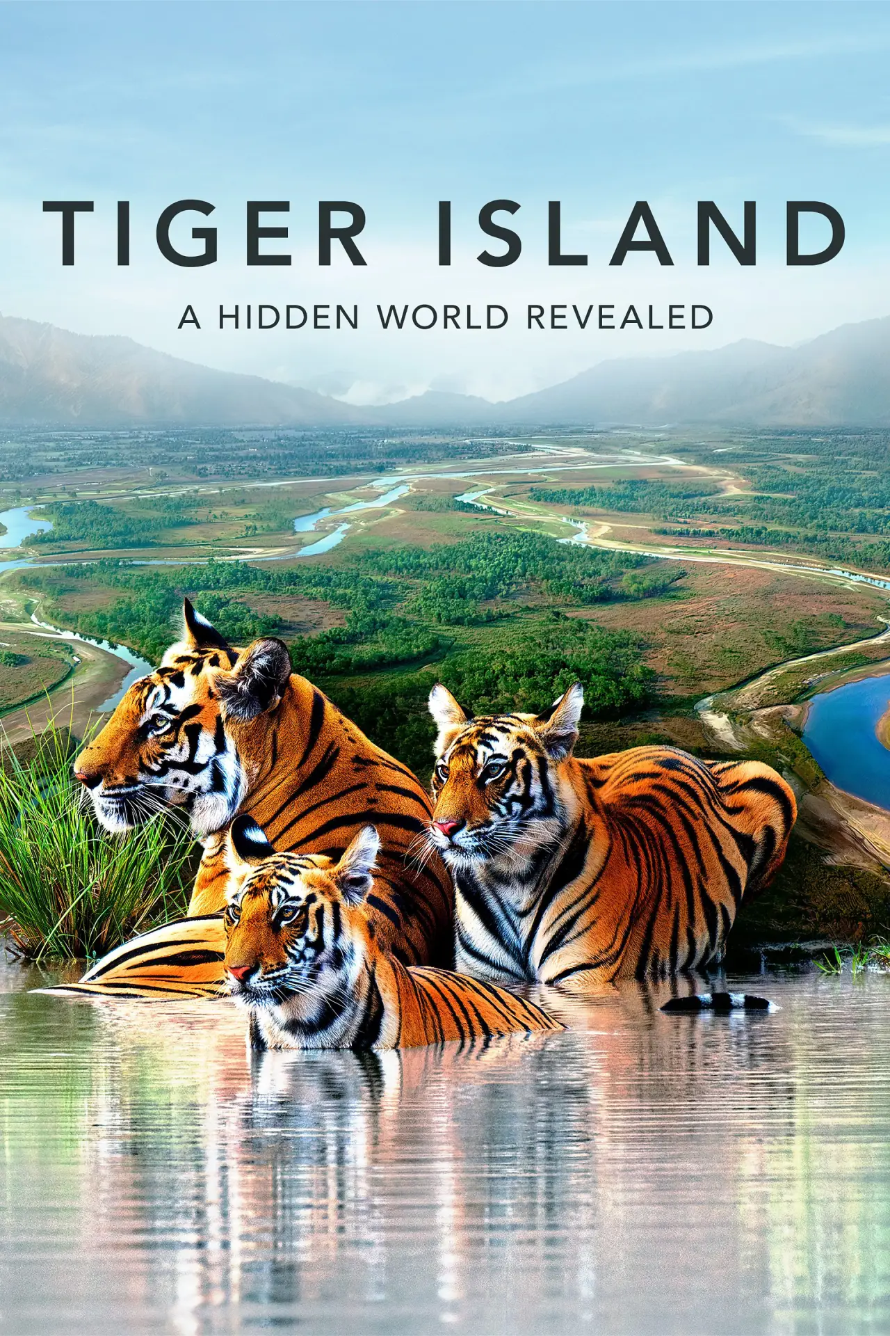 Постер до серіалу "Tiger Island"