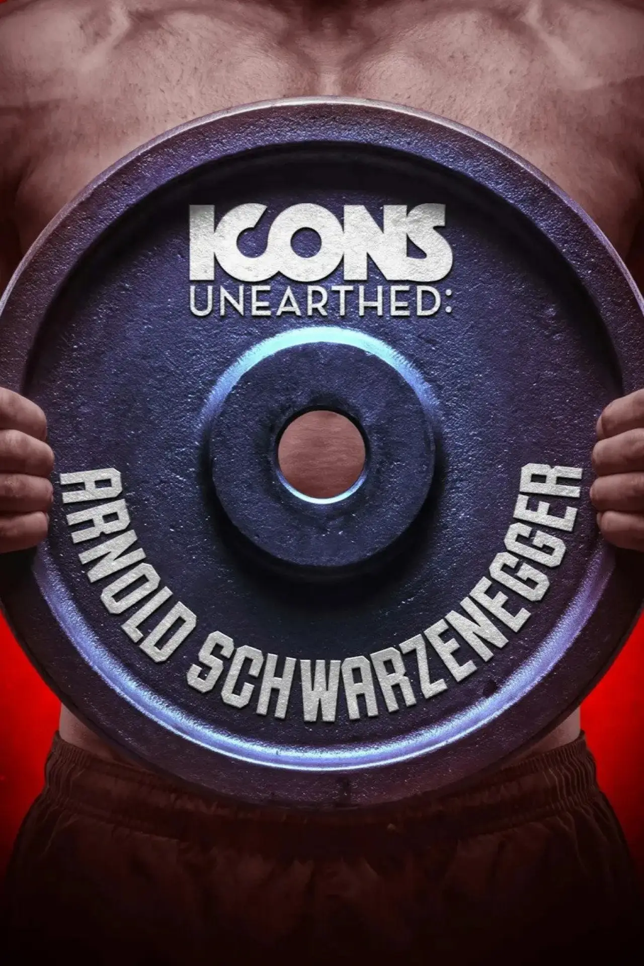 Постер до серіалу "Icons Unearthed: Arnold Schwarzenegger"