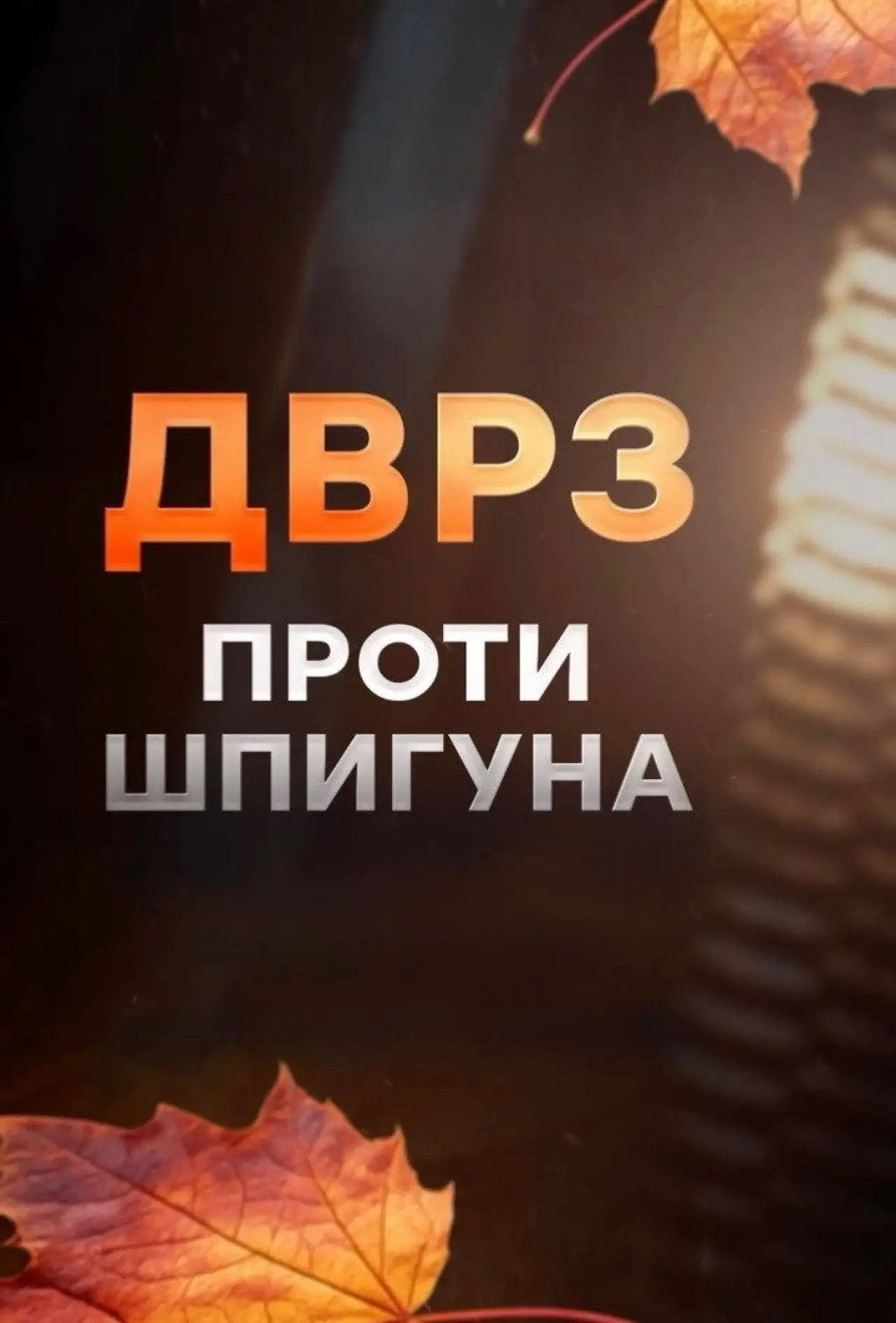 Постер до серіалу "ДВРЗ проти шпигуна"