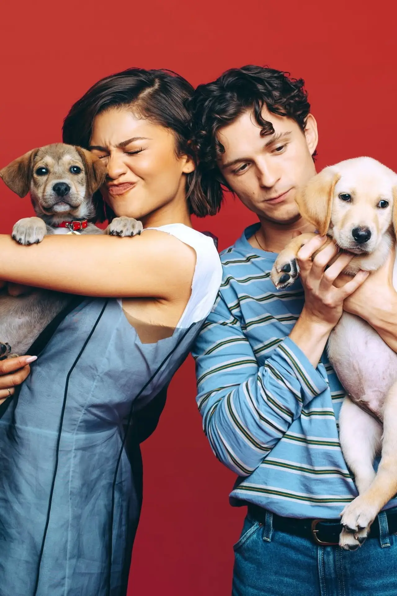 Постер до серіалу "Celebs Play With Puppies & Kittens"