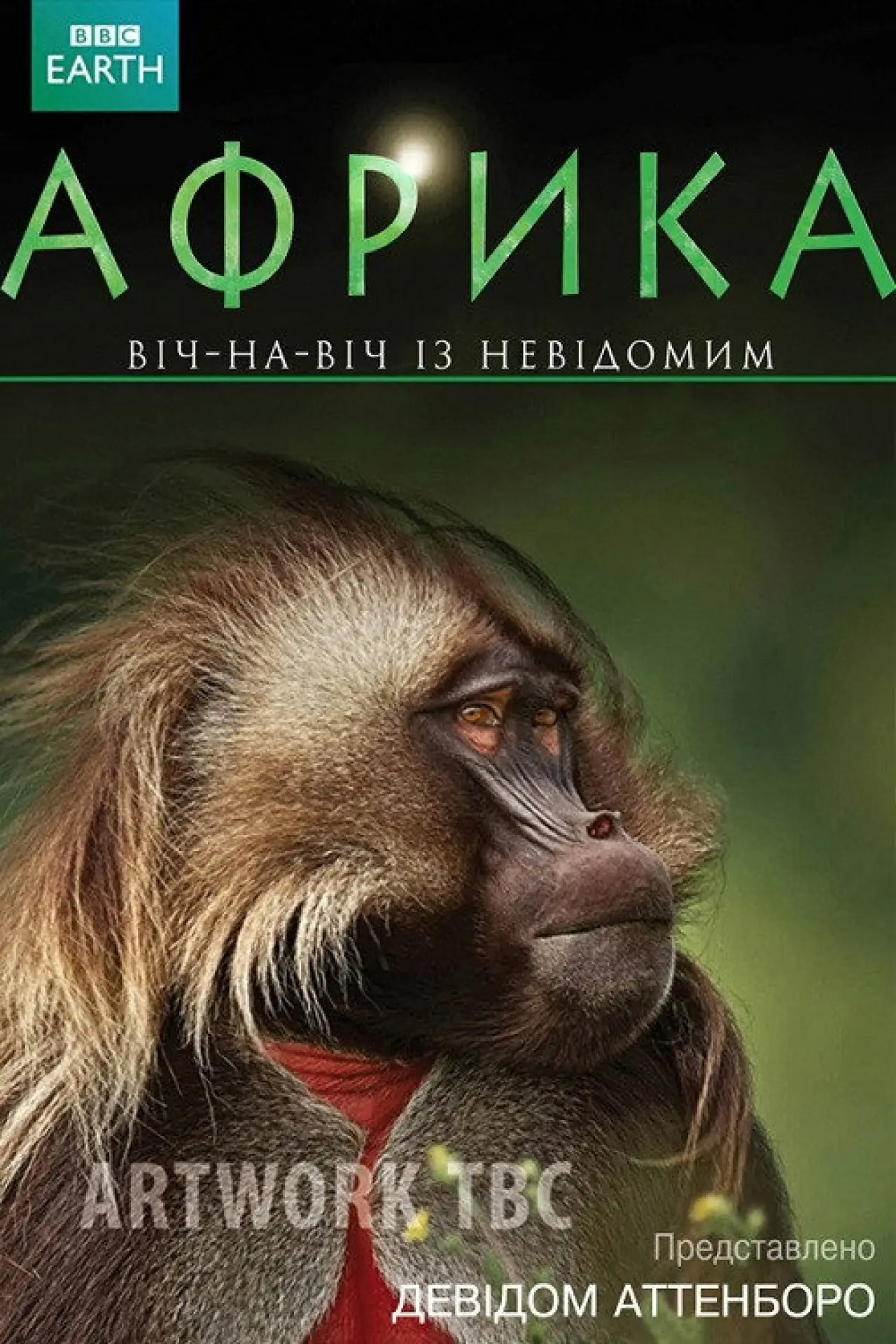 Постер до серіалу "Африка"