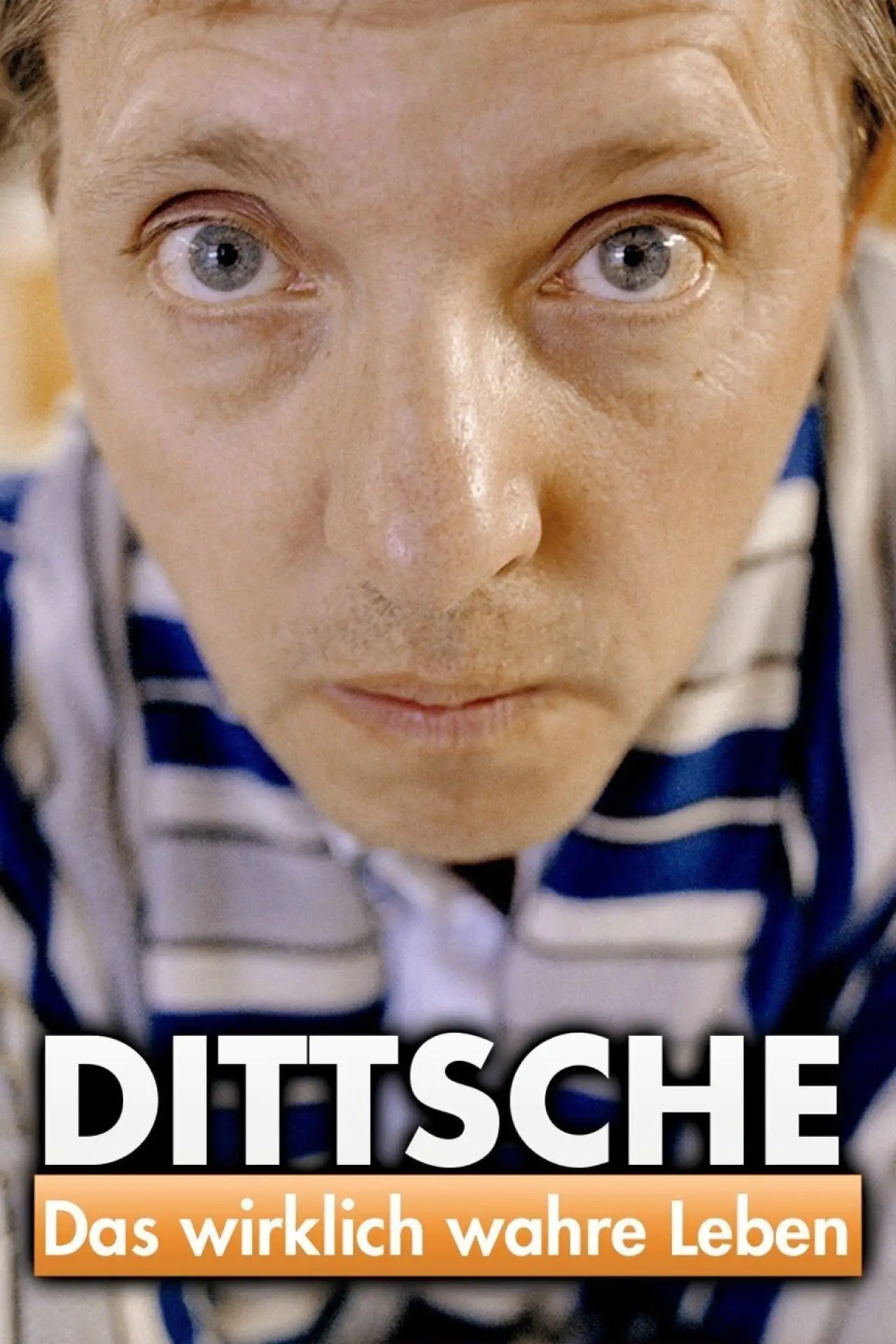 Постер до серіалу "Dittsche - Das wirklich wahre Leben"