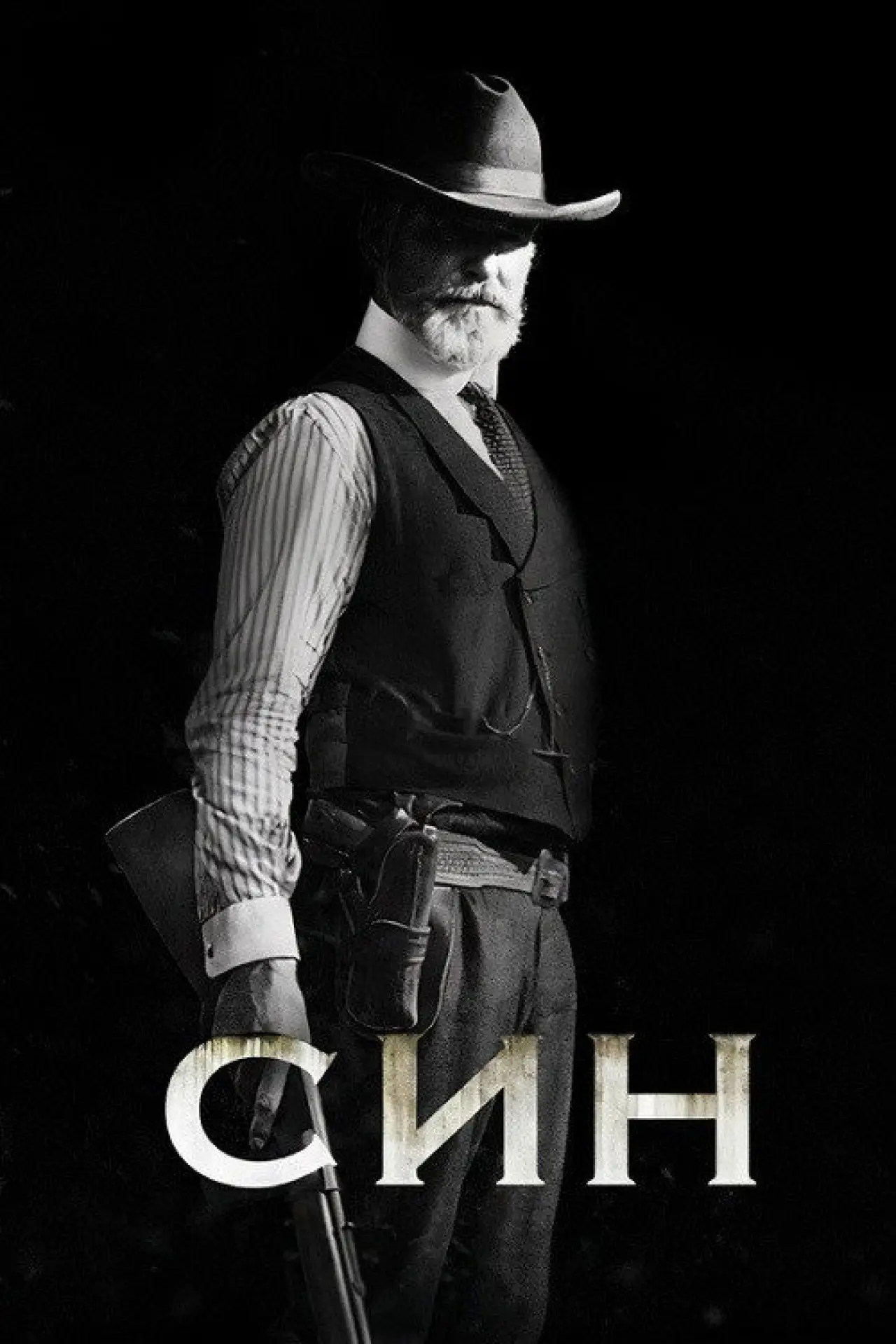 Постер до серіалу "Син"