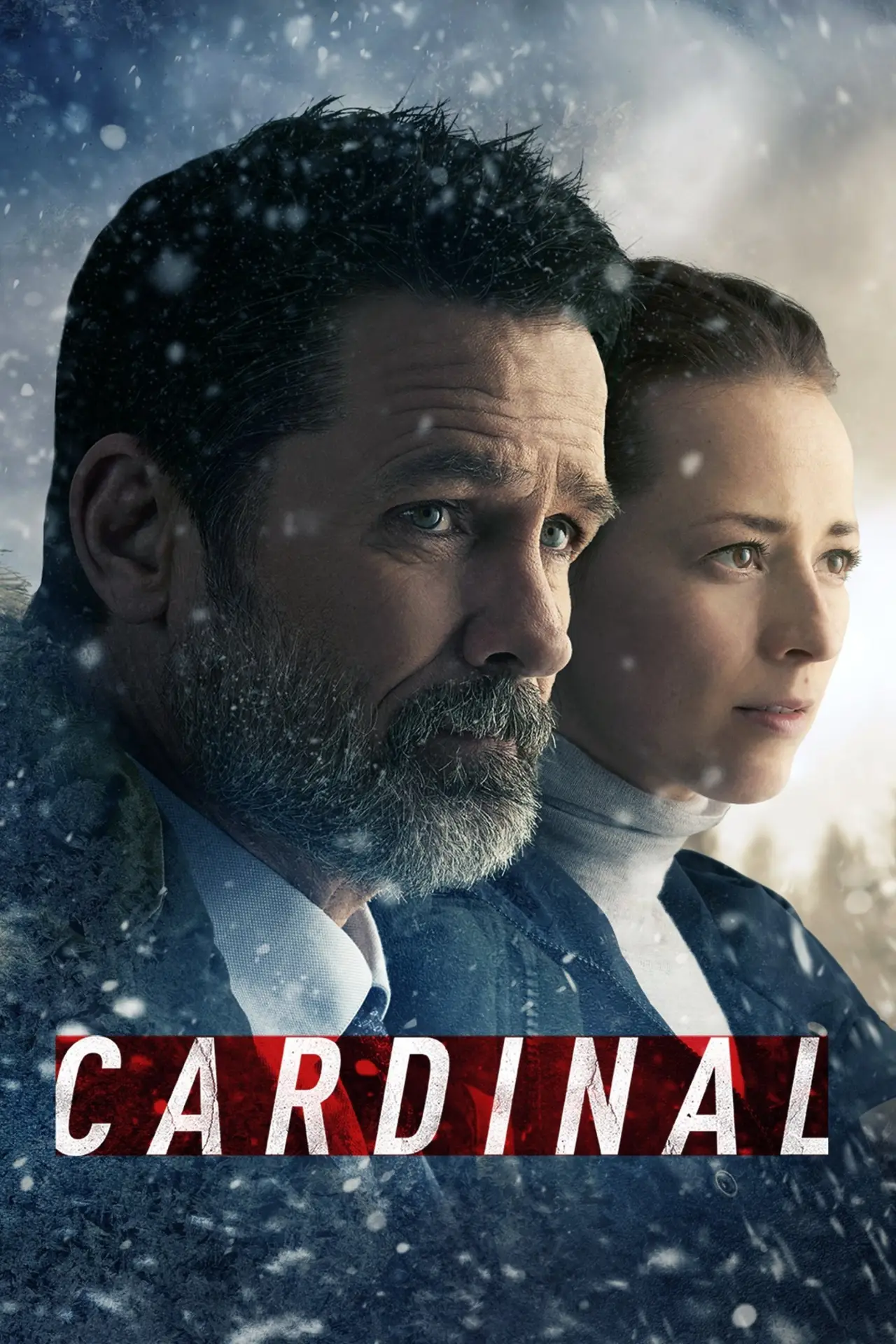 Постер до серіалу "Cardinal"