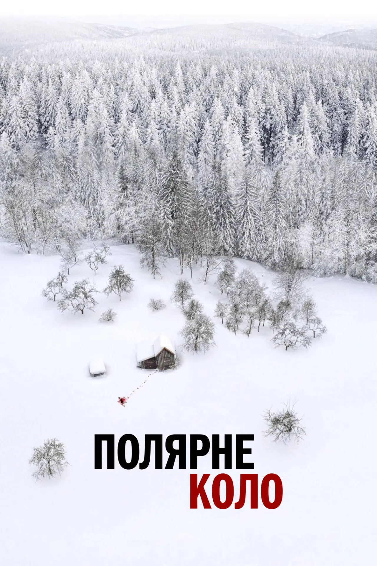 Постер до серіалу "Полярне коло"