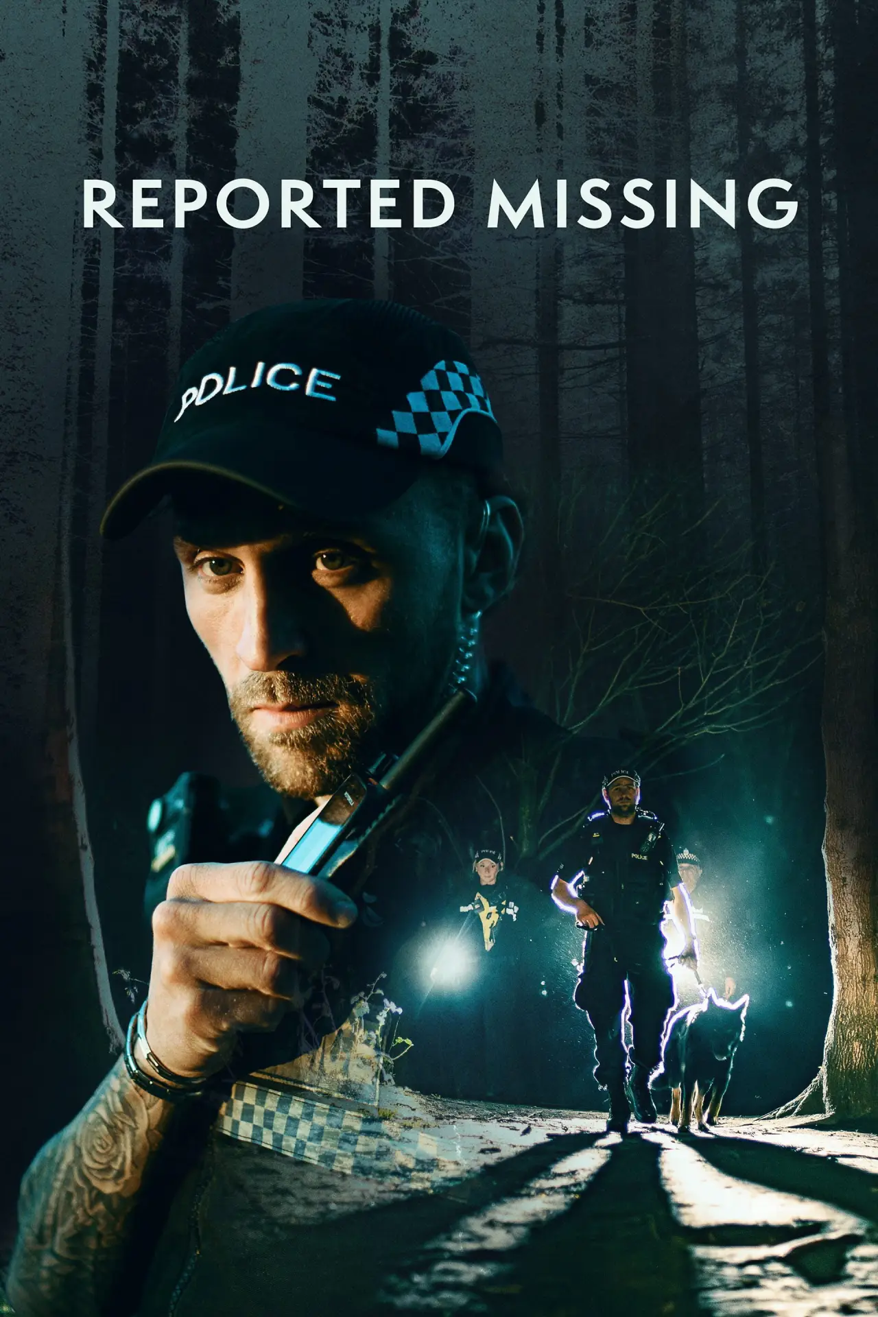Постер до серіалу "Reported Missing"
