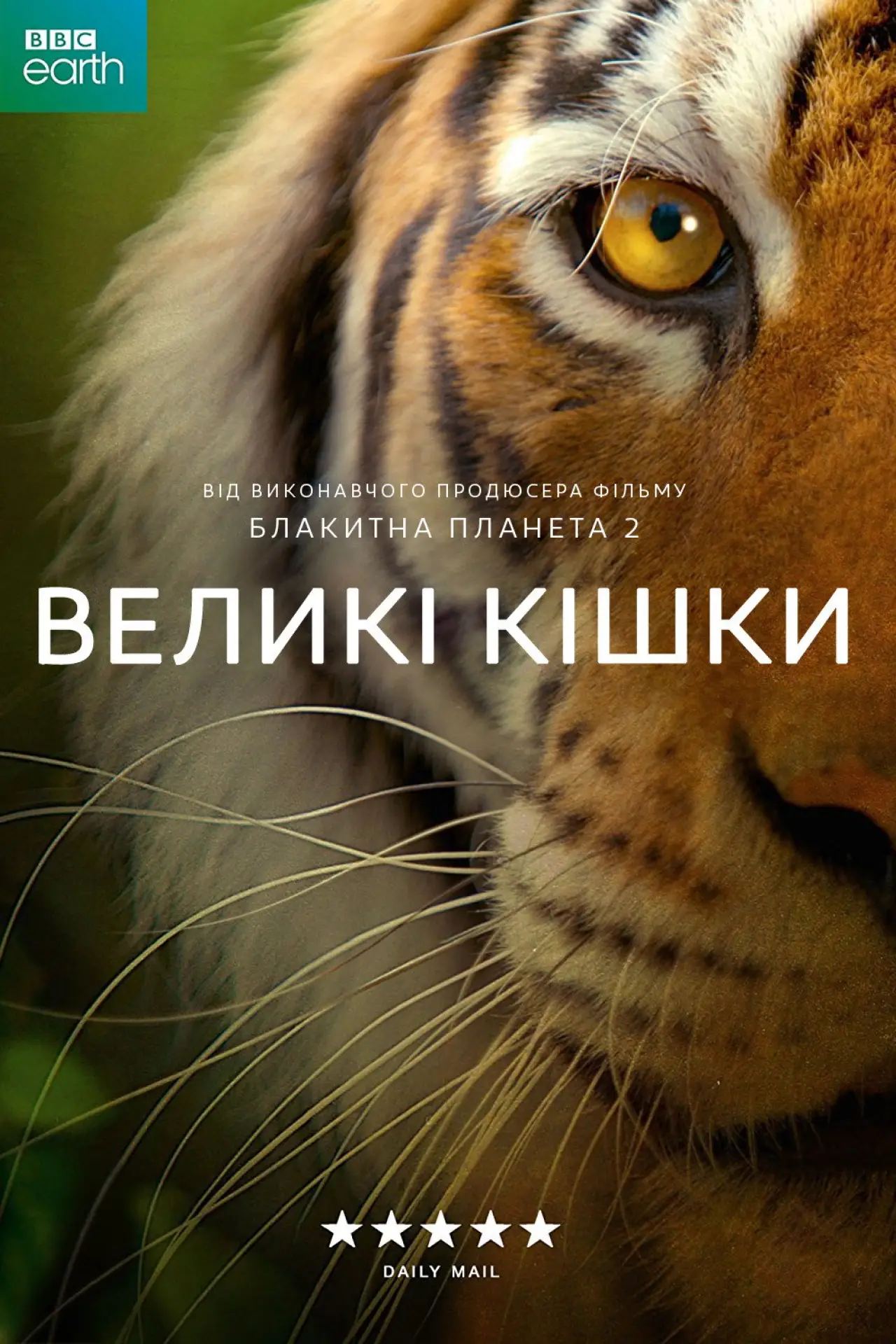 Постер до серіалу "Великі кішки"