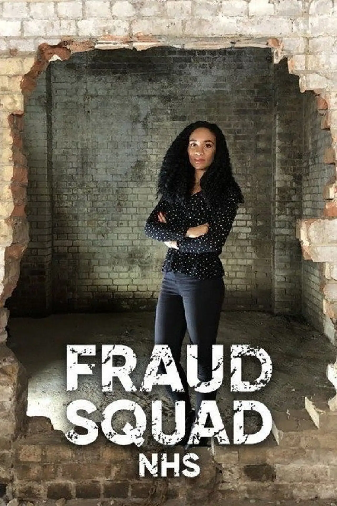Постер до серіалу "Fraud Squad"