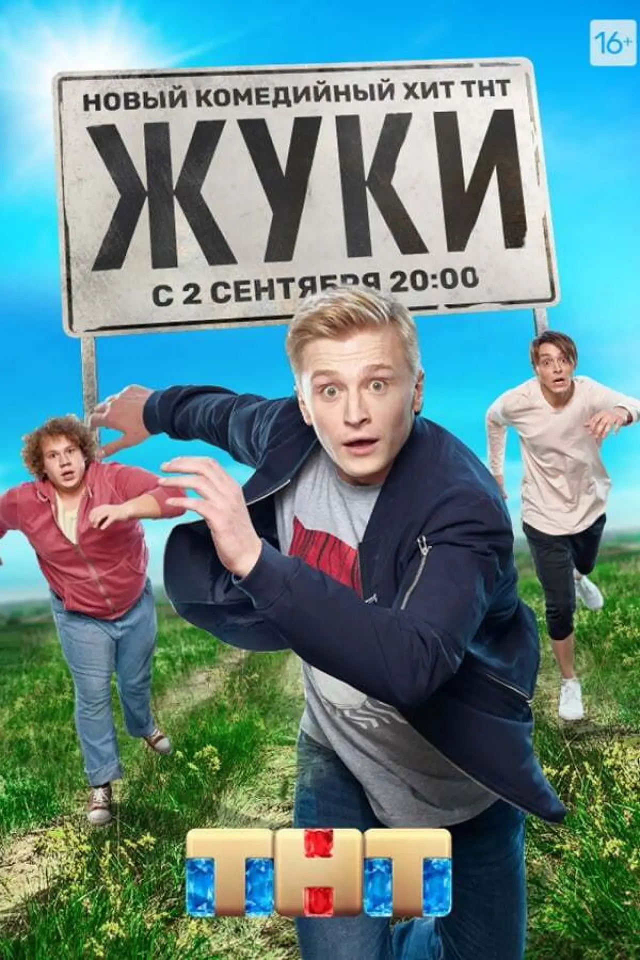 Постер до серіалу "Жуки"