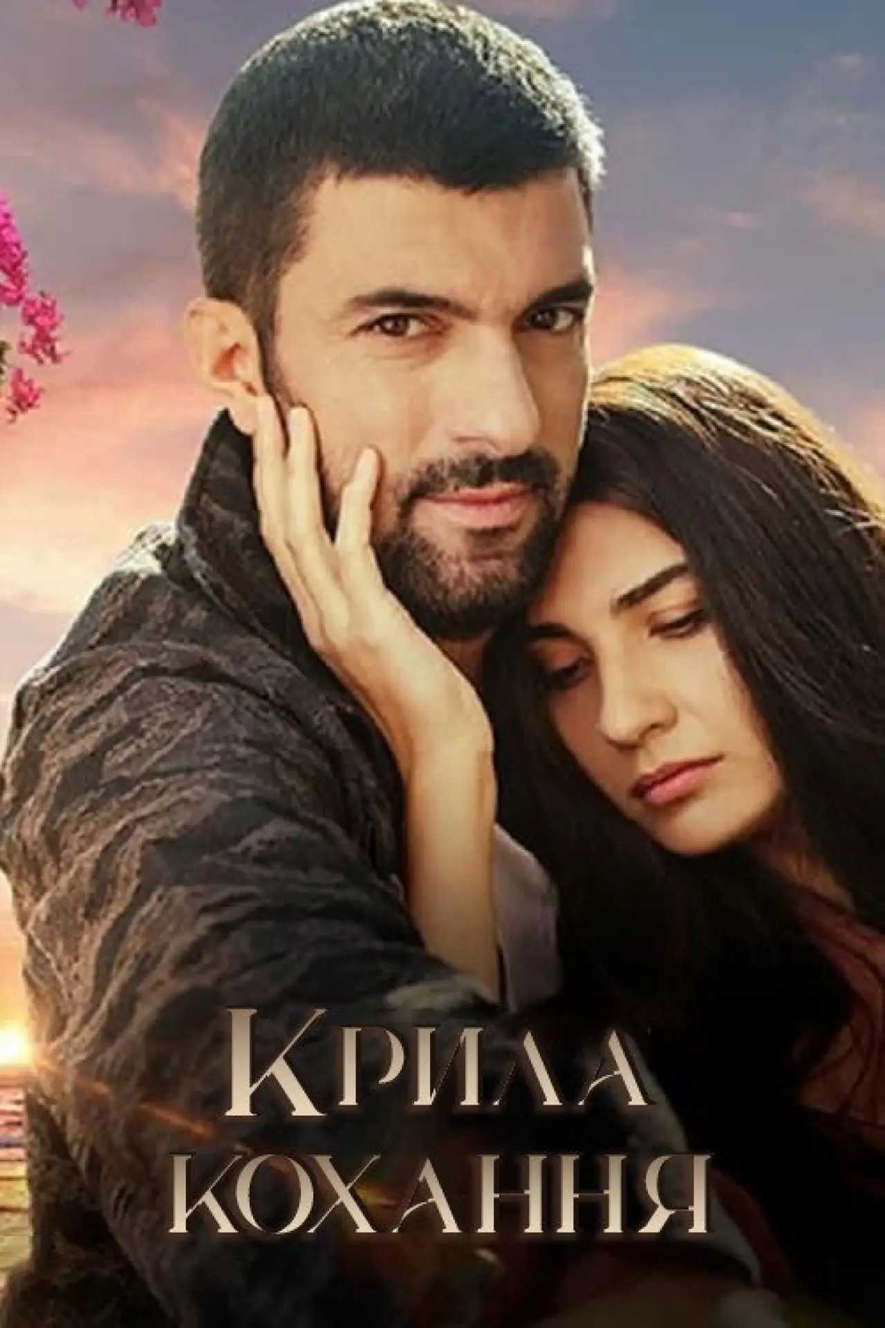 Постер до серіалу "Крила кохання"