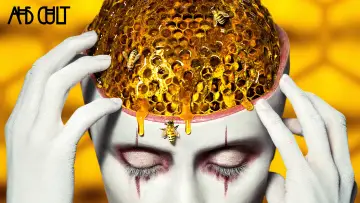 Задник к сериалу "Американська історія жаху" #1247182