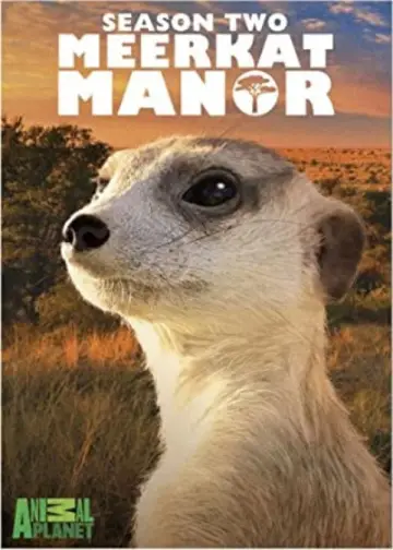 Сезон 2