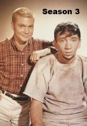 Постер до серіалу "The Many Loves of Dobie Gillis" #1703226