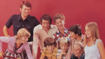 Задник до серіалу "The Brady Bunch" #1388295