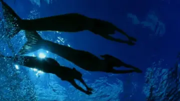 Задник до серіалу "H2O: Просто додай води" #1349426