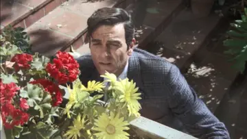 Задник к сериалу "Маннікс" #1298411