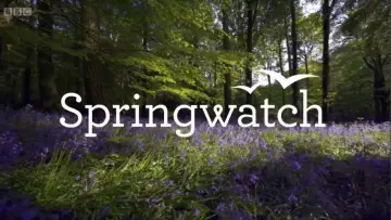 Задник до серіалу "Springwatch" #1395960