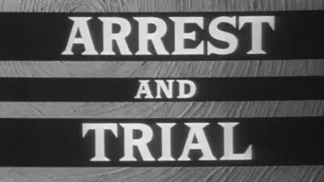Задник до серіалу "Arrest and Trial" #1658090
