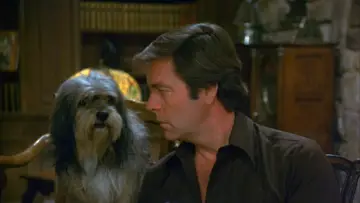 Задник до серіалу "Hart to Hart" #1325927