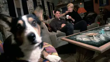 Задник до серіалу "Dharma & Greg" #1384317