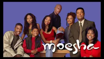 Задник до серіалу "Moesha" #1368348