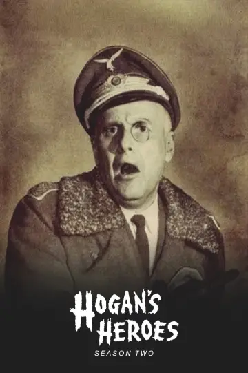 Постер до серіалу "Hogan