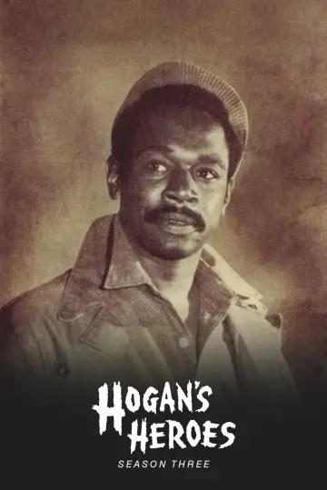 Постер до серіалу "Hogan