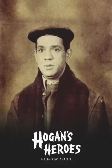 Постер до серіалу "Hogan