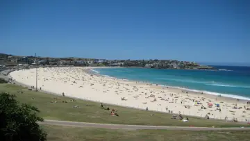 Задник до серіалу "Bondi Rescue" #1322879