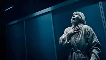 Задник до серіалу "Riget" #1418398