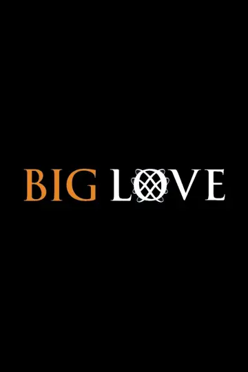 Постер до серіалу "Big Love" #1346695