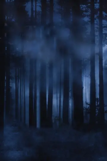 Постер к сериалу "Nightmares & Dreamscapes: From the Stories of Stephen King" #1506213