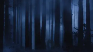 Задник до серіалу "Nightmares & Dreamscapes: From the Stories of Stephen King" #1662726
