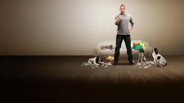 Задник до серіалу "Dog Whisperer" #1444526