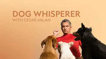 Задник до серіалу "Dog Whisperer" #1444527