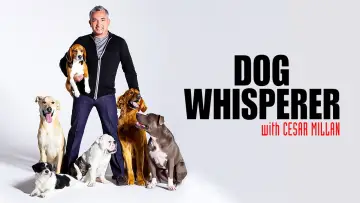 Задник до серіалу "Dog Whisperer" #1444533