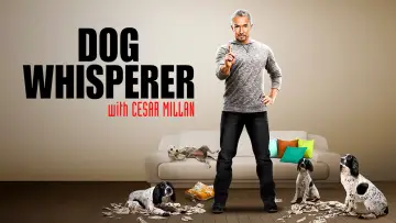 Задник до серіалу "Dog Whisperer" #1444534