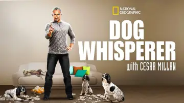 Задник до серіалу "Dog Whisperer" #1444535