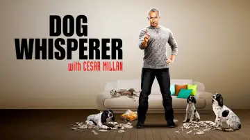 Задник до серіалу "Dog Whisperer" #1444536