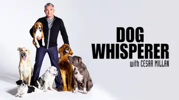 Задник до серіалу "Dog Whisperer" #1444537