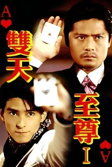 双天至尊 постер