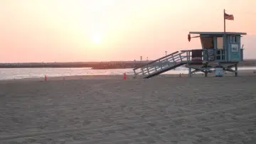 Задник до серіалу "Son of the Beach" #1658357