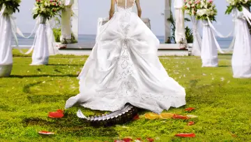 Задник до серіалу "Bridezillas" #1413439
