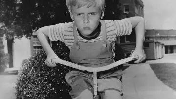 Задник до серіалу "Dennis the Menace" #1371204
