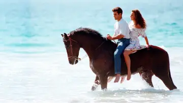 Задник до серіалу "Marimar" #1389640