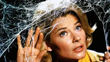 Задник до серіалу "The Ghost & Mrs. Muir" #1727200