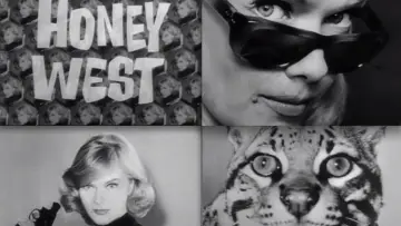 Задник до серіалу "Honey West" #1408122