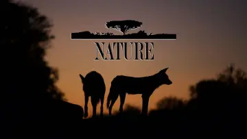 Задник к сериалу "Природа" #1293950